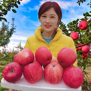 甘肃静宁苹果水果新鲜当季整箱红富士10斤冰糖心丑萍果脆甜礼盒