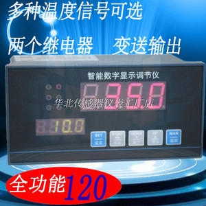 HY1000 温度数显表pt100调节仪K E型温控器4-20mA继电器输出峰值