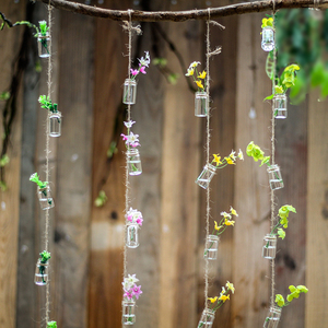 悬挂透明玻璃瓶子小清新绿植物装饰串空中吊饰幼儿园环创空中挂饰