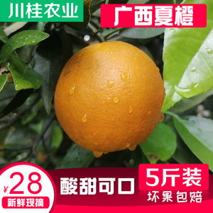 广西桂林夏橙酸甜多汁新鲜现摘秭归农产品手剥高山果冻橙9斤包邮