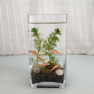 方形小鱼缸直筒玻璃缸长方形桌面斗鱼缸水草微景观生态瓶超白鱼缸