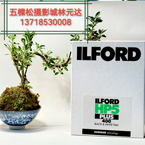 北京发货依尔福ILFORDHP5黑白400页片4X5大画幅45胶片24年12月