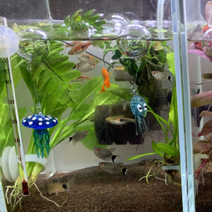 创意玻璃水母鱼缸造景小摆件斗鱼玩具章鱼浮球悬浮水中装饰微景观
