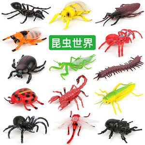 仿真昆虫模型假虫子蚂蚁蝎子知了蜻蜓螳螂蜘蛛蟑螂吓人小蜜蜂玩具