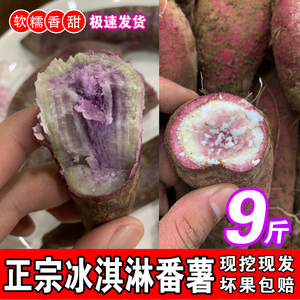 正宗一点红红薯广东粉糯香甜地瓜板栗薯新鲜现挖冰淇淋番薯紫心薯
