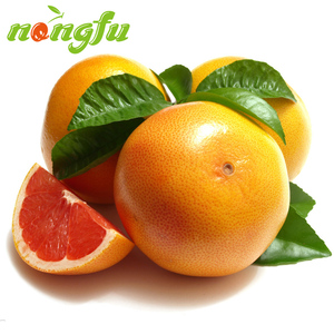 【Nong-fu】南非红西柚8个装大果 新鲜水果 进口葡萄柚 红心柚子