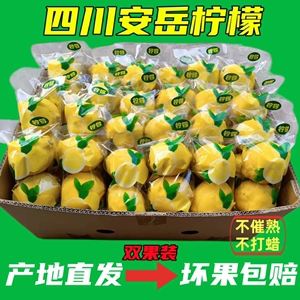 柠檬新鲜优质一级尤力克双胞胎包装皮薄多汁无蜡孕妇酸爽水果整箱