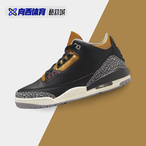 Air Jordan 3 AJ3 黑金 小黑水泥 女款复古休闲篮球鞋 CK9246-067