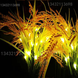 太阳能稻穗大麦玫瑰花LED发光麦穗灯插地灯户外防水亮化造型装饰