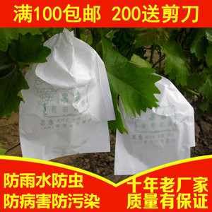 葡萄袋子葡萄纸袋子专用防雨水防虫套袋白色水果套袋包邮莲雾柚子