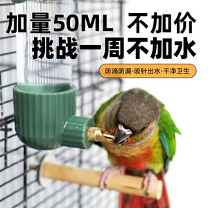 鹦鹉饮水器鸟喝水器撞针水壶小鸟用饮水器芦丁鸡自动喂水器盒用品