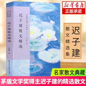 迟子建散文精选 名家散文典藏彩插版 迟子建散文集 高初中考生课外阅读书籍 龙眼与伞/我对黑暗的柔情/落红萧萧中国文学迟子建的书