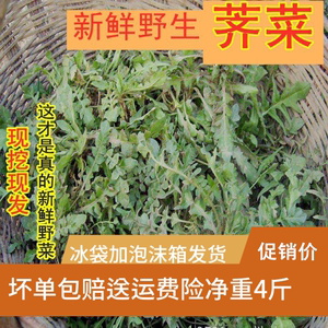 暂停接单十月发 露天荠菜新鲜野生野菜包邮蔬菜现挖地菜野菜新鲜