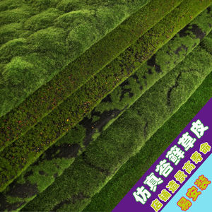 仿真苔藓草坪永生绿色人造假苔藓背景墙装饰青苔植物墙微景观草皮