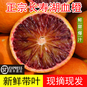 重庆长寿湖塔罗科血脐橙新鲜水果现摘现发精选优质大果含箱十斤装