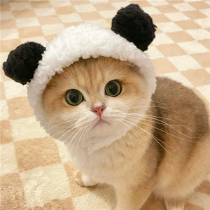 可爱熊猫猫咪帽子搞怪小熊狗狗头套泰迪比熊狗狗头饰兔子装饰品