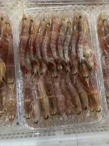 樱花虾鲜活野生刺身甜虾红虾冷冻鸡冠虾海杂虾海鲜水产半斤一盒