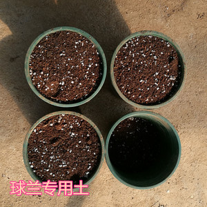 育苗基质种菜种花有机 球兰植料 球兰培养土 自配球兰专用土