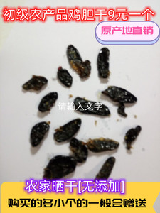 新鲜鸡胆/鸡苦胆干鸭胆干晒干鸭胆汁鸡苦胆汁鸭胆9元一枚农产品