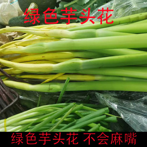 云南特产建水绿色芋头花芋荷花不麻嘴的芋头花农家新鲜蔬菜送辣子