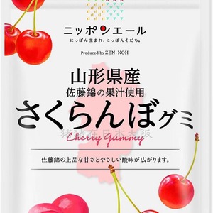 【猪猪在日本大阪】农协水果软糖樱桃南高梅草莓青提味蜜桃等多种
