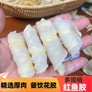 餐饮酒店食材足干缅大红鱼肚250头厚肉花胶鸡火锅鲜炖滋补花胶冻