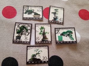T61盆景艺术 邮票 信销套票