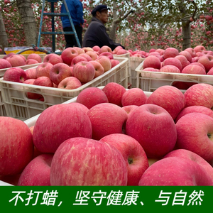 陕西洛川红富士苹果，新鲜脆甜不打蜡，下单直播间现挑