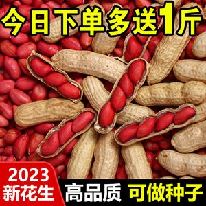 2023红皮花生米生新货新鲜晒干带壳花生种子散装四粒红衣花生5斤