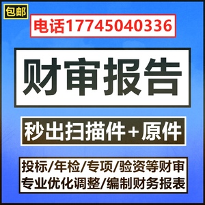 代做公司投标审计咨询会计师事务所学校民非年检验资清算财务报表