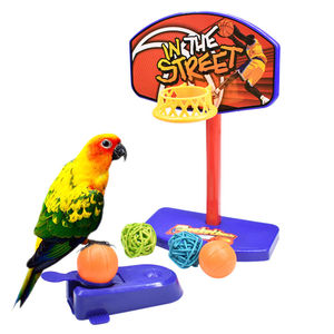 鹦鹉投篮益智玩具迷你篮球小型鹦鹉鸟用品用具篮球发声训练互动