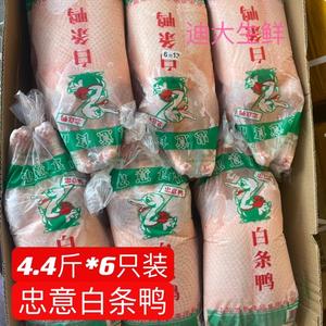 新鲜冷冻忠意白条鸭4.4斤*6只装 生鸭 光鸭樱桃谷瘦肉型烤鸭食材