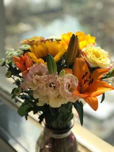 包月鲜花 每周一花 花点时间 花+ flowerplus 单周定制款单周订花