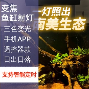 南美鱼缸射灯led防水迷你小型水族箱雷龙照明灯水草三湖原生夹灯