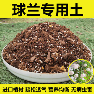 球兰专用土营养土盆栽种植土进口泥炭土壤肥料 疏松透气 无病虫害