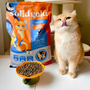 美国进口素丽高金装金素素力高无谷营养高蛋白成幼猫全猫粮12磅