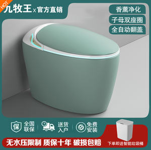 家用蛋形彩色智能马桶一体式坐便器无水压语言自动翻盖即热座便器