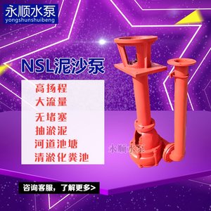 球磨铸铁泥沙泵NSL NL抽砂泵高扬程立式大流量3寸淤泥80NSL-60
