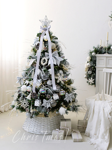 诺琪 圣诞节装饰1.5米1.8米落雪高档银白圣诞树套餐小型家用摆件