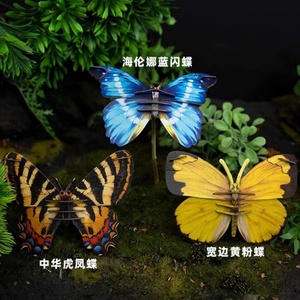 国家地理梦巴格3D立体纸模自然科普昆虫手工创意拼插图蝴蝶积木