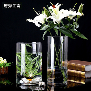 观音竹专用加厚宽口玻璃落地花瓶高透明水晶直筒水培摆件客厅插花