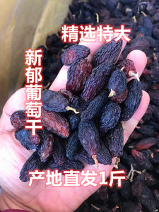 2023新货新郁玫瑰香葡萄干2斤带籽免洗特级优质新疆吐鲁番葡萄干