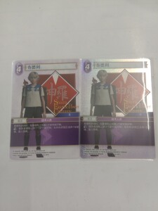 FinalFantasy 最终幻想Tcg 16－091 C 查德利 平闪 中文