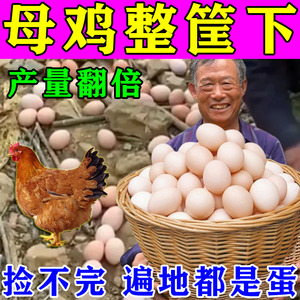 增蛋宝鸡下蛋专用蛋多多鸭鹅鸡不下蛋专用产蛋灵兽用鹌鹑禽用饲料
