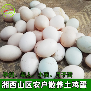 湘西农家散养土鸡蛋纯粮食笨鸡蛋柴鸡蛋 新鲜草鸡蛋50枚包邮