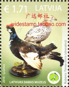 拉脱维亚 鸟类邮票 2016 自然历史博物馆展览 黑琴鸡 爱情鸟 1全