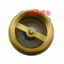 All copper self-priming water pump filter bottom valve 4 minutes 6 points tap water pipe spring one-way backstop vertical check valve