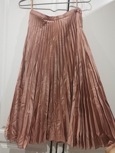 伊芙丽百褶裙，有点粉金色，秋冬款，刚从真空吸纳袋整理出来，有