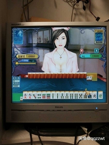 单机游戏主机，独立显卡，双核，单机版游戏主机配置如图，单机游