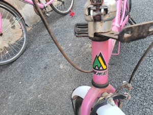 几年前买的阿米尼16折叠自行车，没骑几次，放在地下室有点锈，